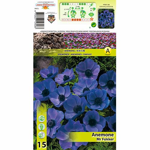 Zawilec (Anemone) Mr. Fokker interface.image 1 interface.art 70339