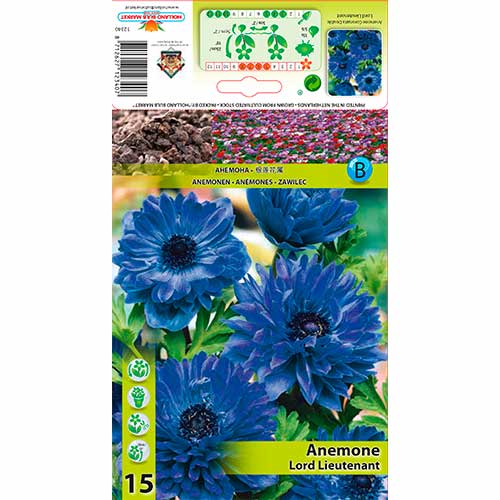 Zawilec (Anemone) Double Lord Lieutenant interface.image 1 interface.art 76165