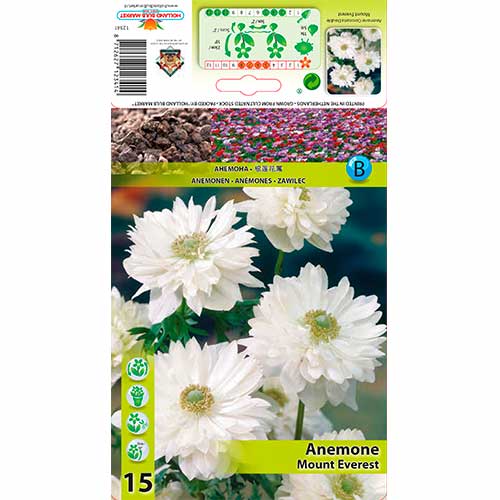 Zawilec (Anemone) Double Mount Everest interface.image 1 interface.art 76166