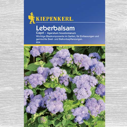 Żeniszek meksykański Capri interface.image 1 interface.art 77393