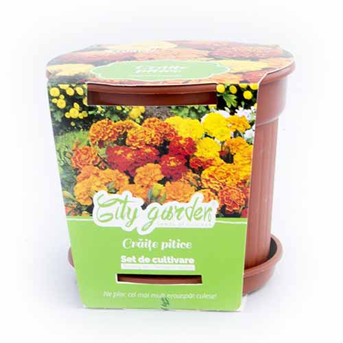 Zestaw do uprawy - Aksamitka rozpierzchła niska interface.image 1 interface.art 96319