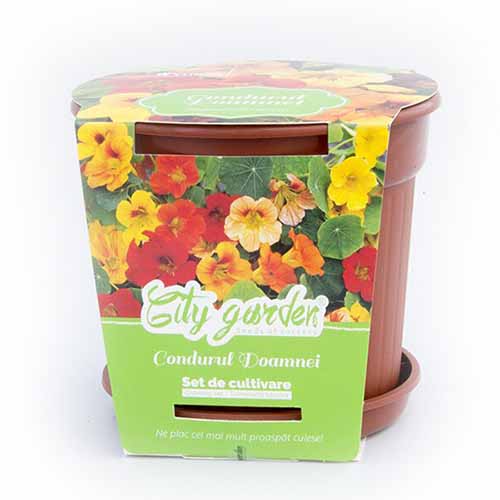Zestaw do uprawy - Nasturcja karłowa, mieszanka interface.image 1 interface.art 96316