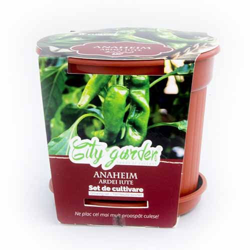 Zestaw do uprawy - Papryka ostra Anaheim Chilli interface.art zdjęcie 1 Zestaw do uprawy - Papryka ostra Anaheim Chilli interface.image 1 interface.art 96312