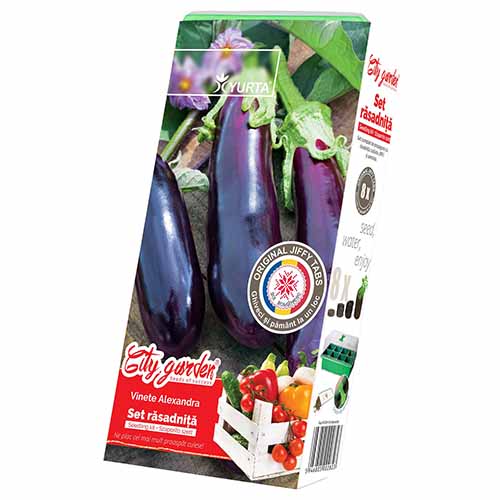 Zestaw nasion Bakłażana Alexandra interface.image 1 interface.art 96301