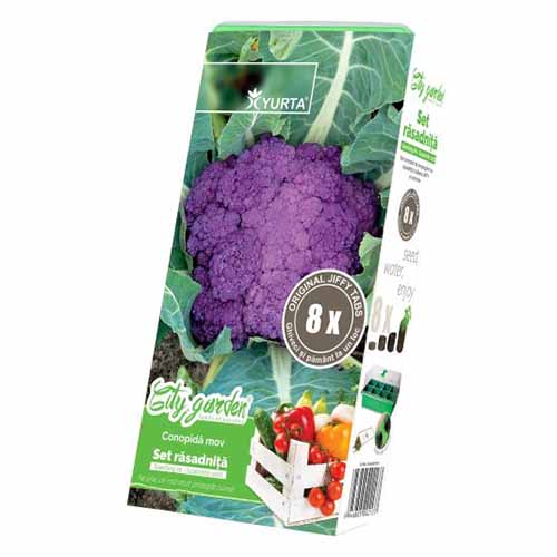 Zestaw nasion Kalafiora fioletowego interface.image 1 interface.art 96285