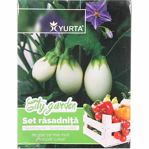 Zestaw nasion Oberżyny białej interface.image 1 interface.art 96268