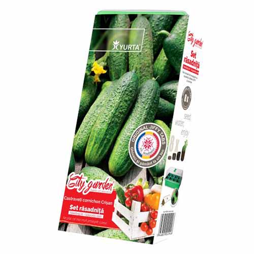Zestaw nasion Ogórka gruntowego Crisan interface.image 1 interface.art 96295