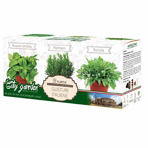 Zestaw nasion roślin przyprawowych Włoskie smaki interface.art zdjęcie 1 Zestaw nasion roślin przyprawowych Włoskie smaki interface.image 1 interface.art 96262