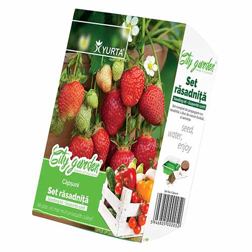 Zestaw nasion Truskawki interface.image 1 interface.art 96274