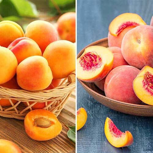 Zestaw Przetwory owocowe, 2 sadzonki interface.art zdjęcie 1 Zestaw Przetwory owocowe, 2 sadzonki interface.image 1 interface.art 5676