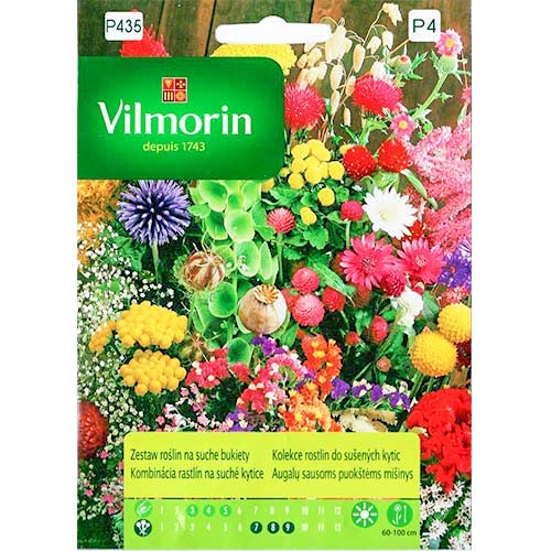 Zestaw roślin na suche bukiety Vilmorin interface.image 1 interface.art 86659