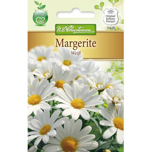 Złocień wielki White interface.image 1 interface.art 78972