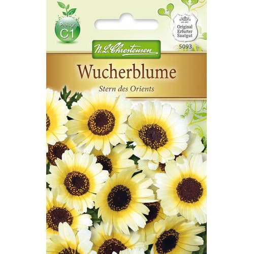 Zlocien Stern des Orients interface.image 1 interface.art 78900