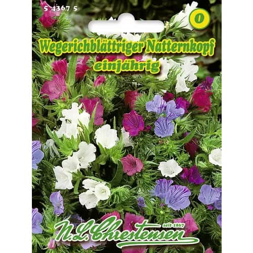 Zmijowiec babkowaty interface.art zdjęcie 1 Zmijowiec babkowaty interface.image 1 interface.art 96418