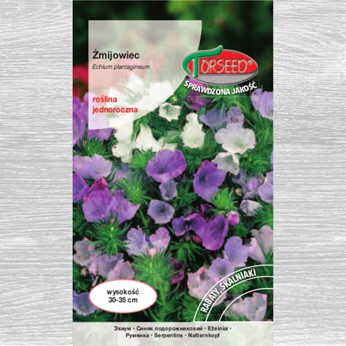 Żmijowiec, mieszanka interface.art zdjęcie 1 Żmijowiec, mieszanka interface.image 1 interface.art 77596