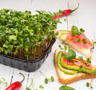 Microgreens
