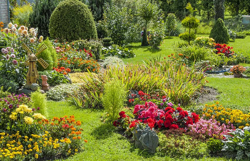 10 porad dla początkującego ogrodnika