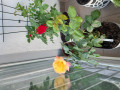 upload_img1
