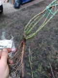upload_img1