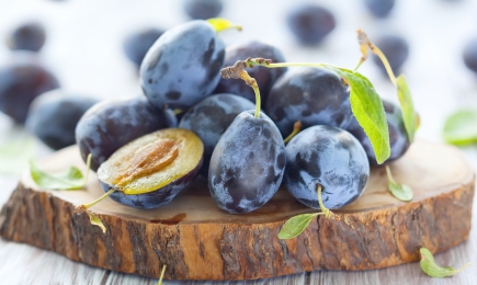 Królewskie zbiory | GradinaMax