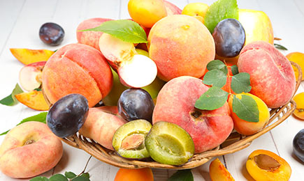 Mini ogródek i patio | GradinaMax