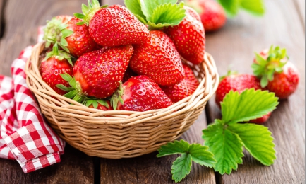 Niezwykły deser | GradinaMax