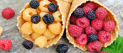 Słodkie owoce jagodowe | GradinaMax