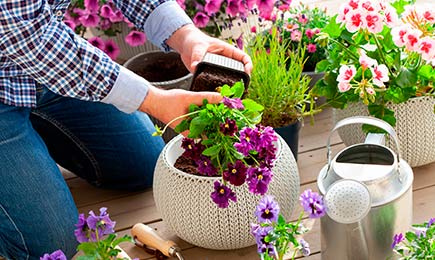 Spadek cen | GradinaMax