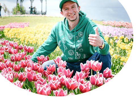 Katalog - Cebulki kwiatowe wiosna - GradinaMax Polska